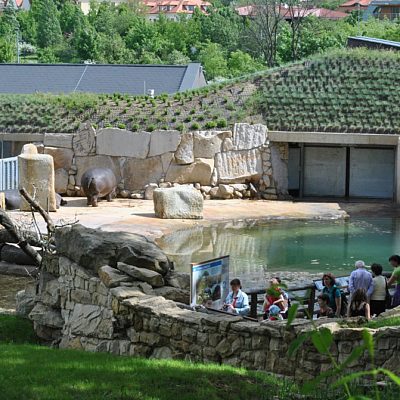 bob综合体育官网下载
 Zoo Praha (Zdroj: Zoo Praha)